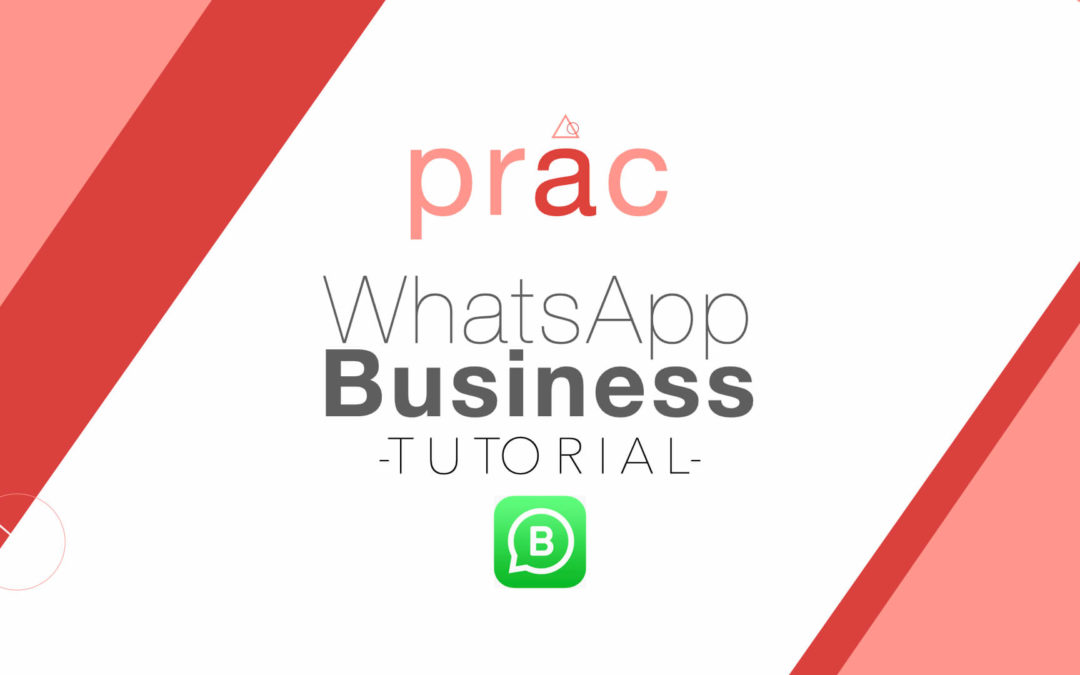 WhatsApp Business tutorial